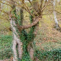JUS_20220408_MG_2703.jpg