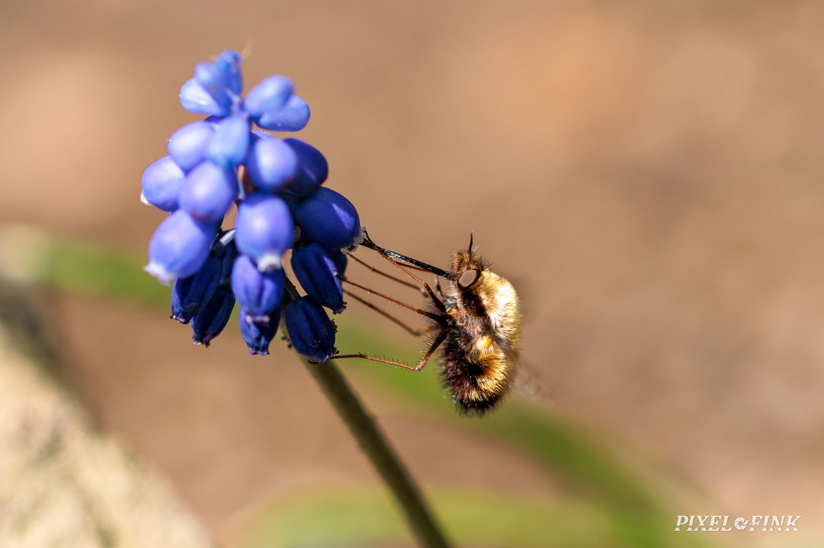 JUS_20230421_MG_3193.jpg