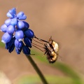 JUS_20230421_MG_3193.jpg