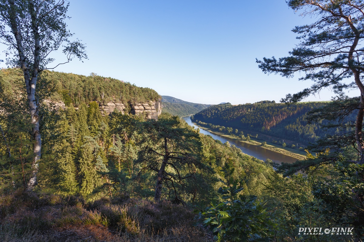 AS_20190904_MG_4879.jpg