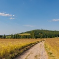 JUS_20230707_MG_0519.jpg