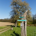 JUS_20230430_MG_8592.jpg