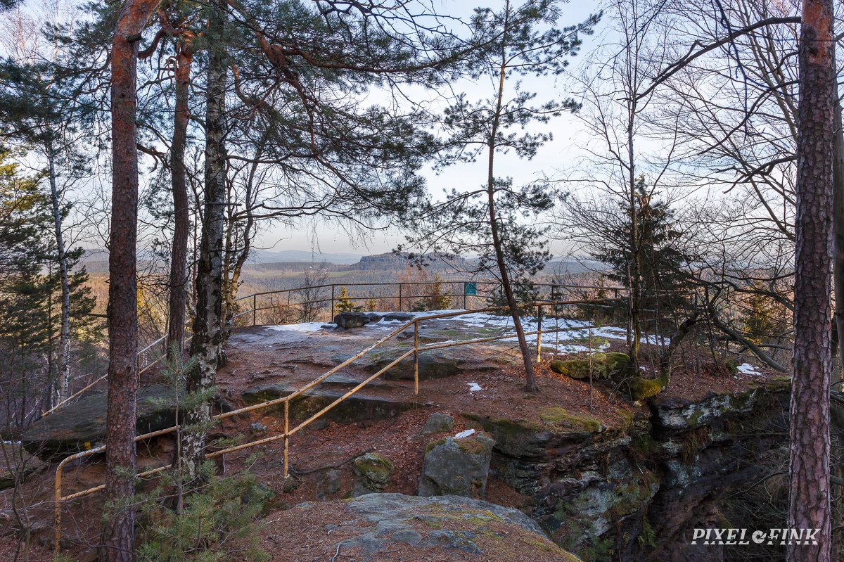 AS_20190119_MG_3784.jpg