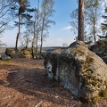 AS_20190417_MG_4456.jpg