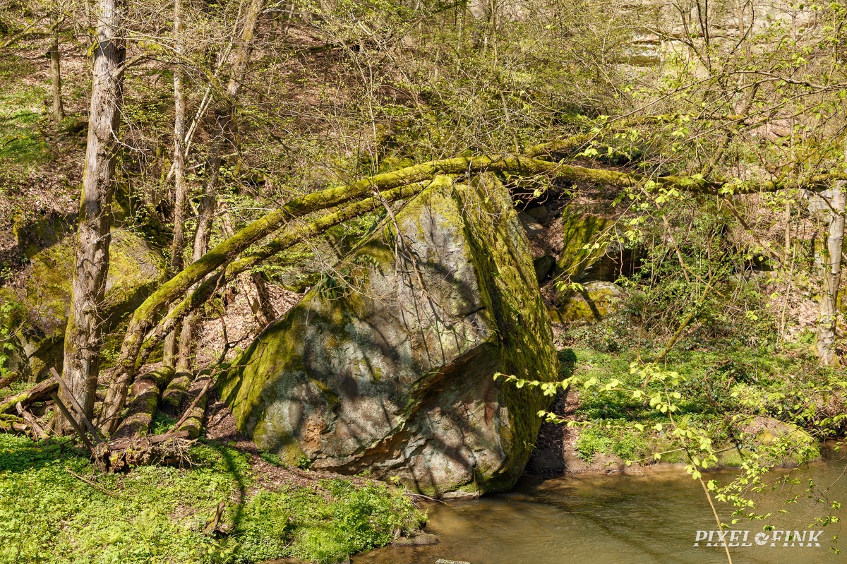 JUS_20230430_MG_8548.jpg