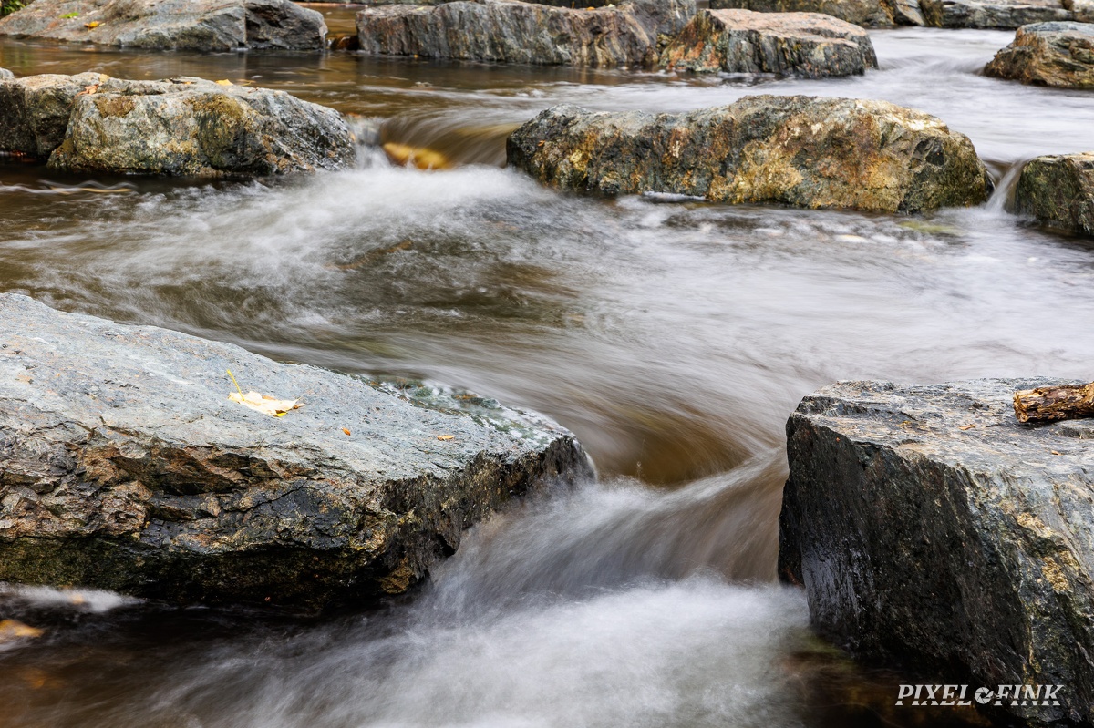 JUS_20231014_MG_1084.jpg