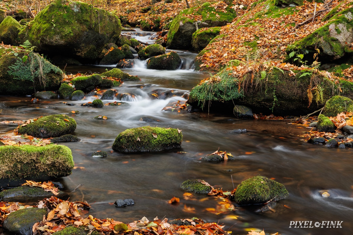 JUS_20231111_MG_1438.jpg
