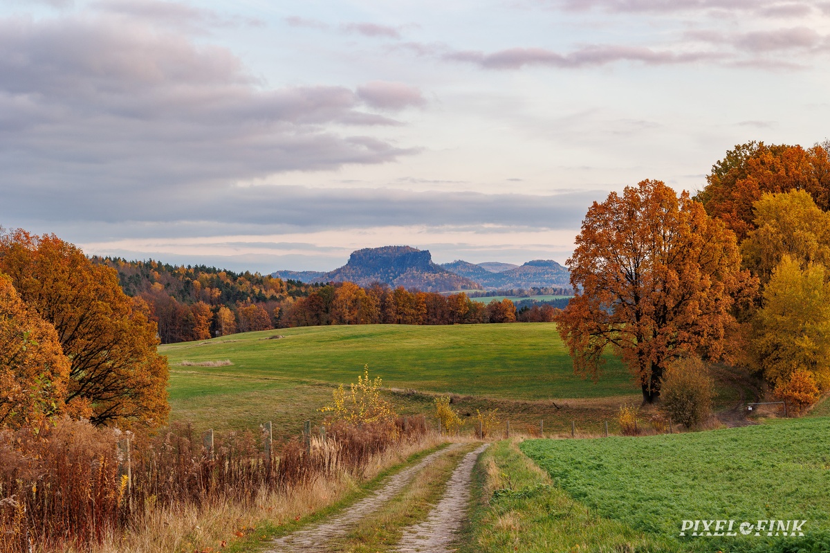JUS_20231118_MG_1453.jpg