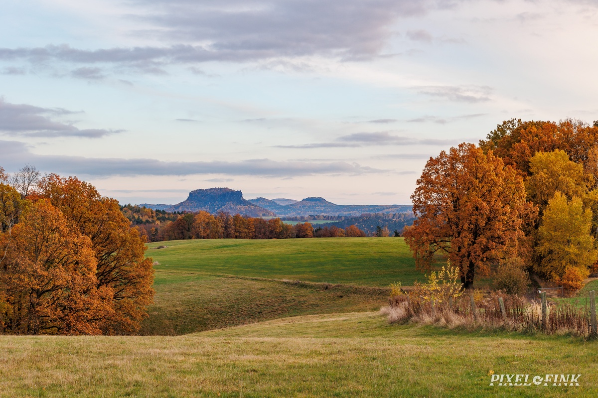 JUS_20231118_MG_1457.jpg