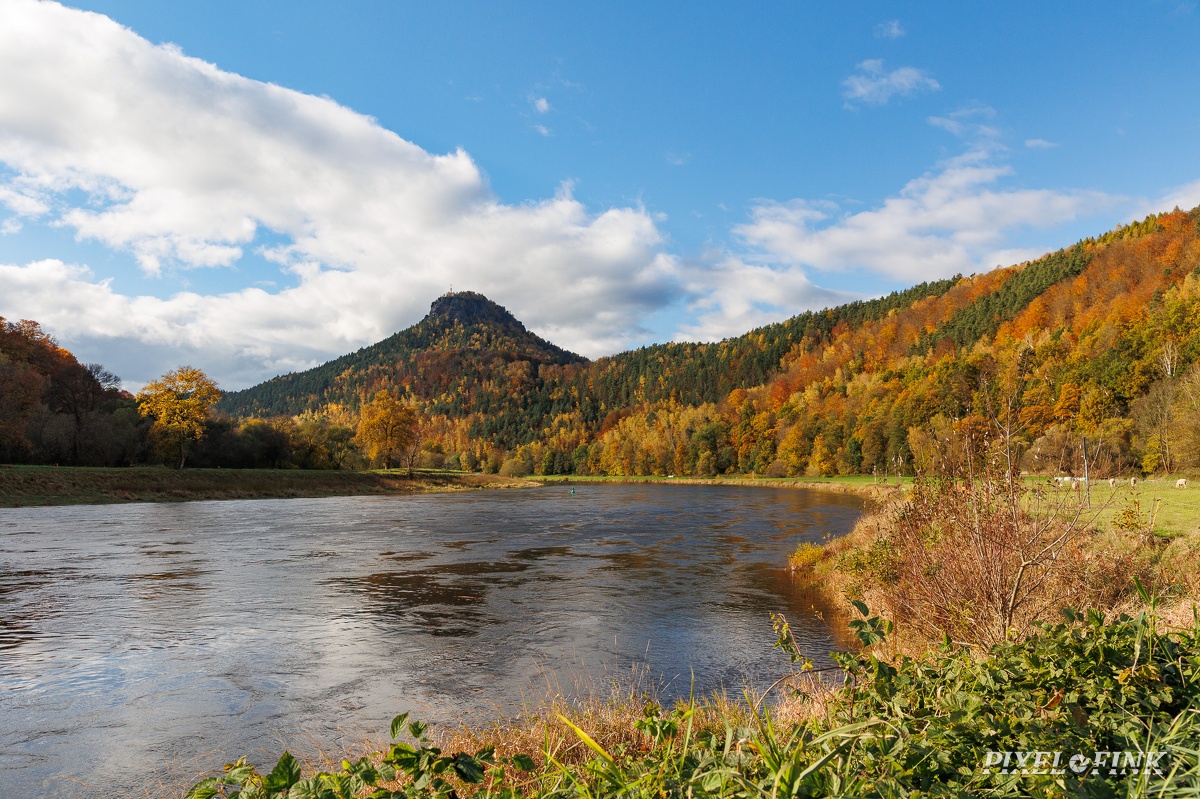 JUS_20231107_MG_1410.jpg