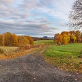 AS_20231118_MG_0485.jpg