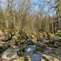 AS_20220423_MG_6811.jpg