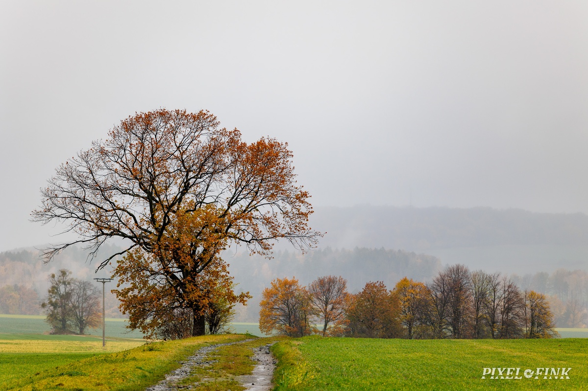 JUS_20231121_MG_1469.jpg