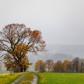 JUS_20231121_MG_1469.jpg