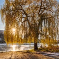 JUS_20231129_MG_1490.jpg