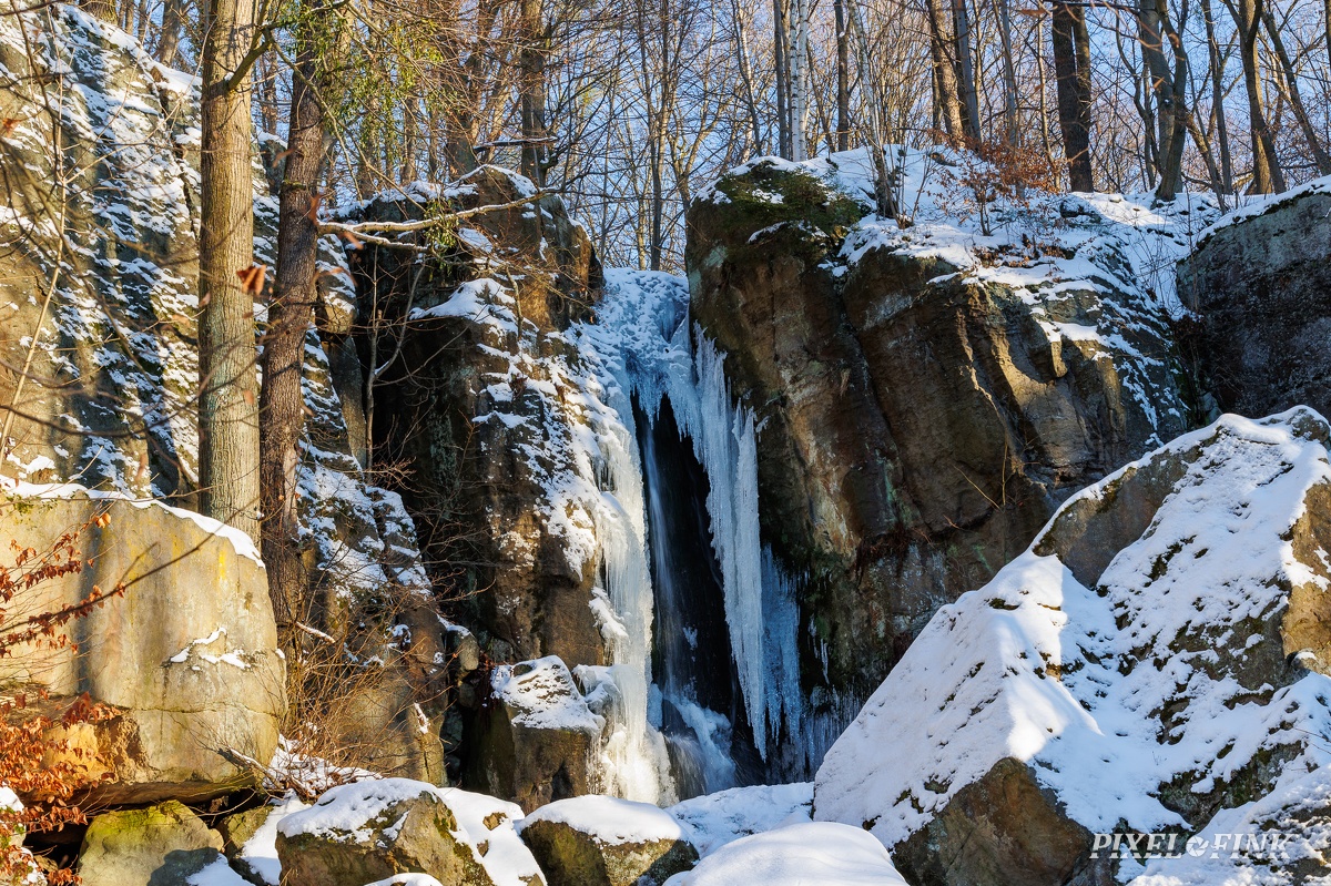 JUS_20240120_MG_1636.jpg