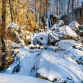AS_20240120_MG_0532.jpg