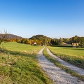 AS_20191013_MG_5025.jpg