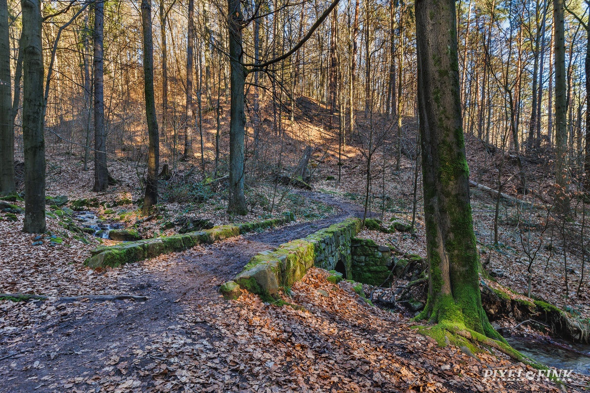 AS_20240224_MG_0539.jpg