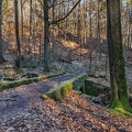 AS_20240224_MG_0539.jpg