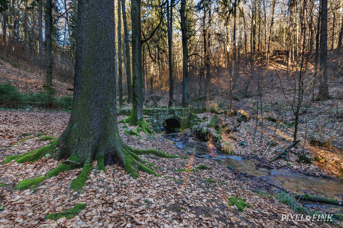 AS_20240224_MG_0546.jpg