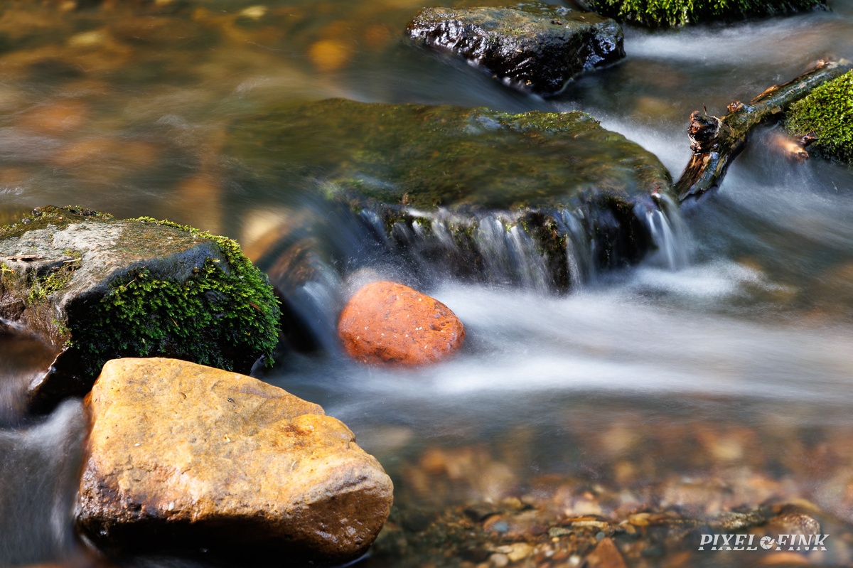 JUS_20240412_MG_1794.jpg