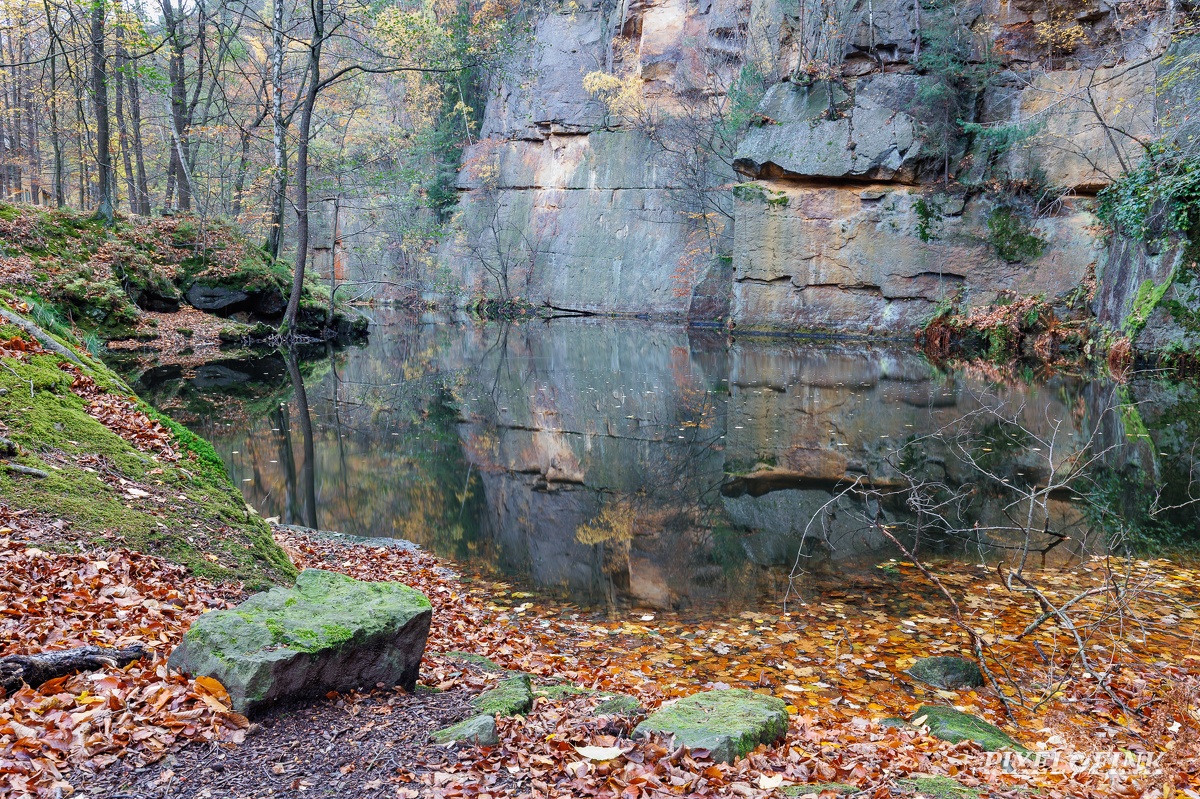 JUS_20231118_MG_1445.jpg