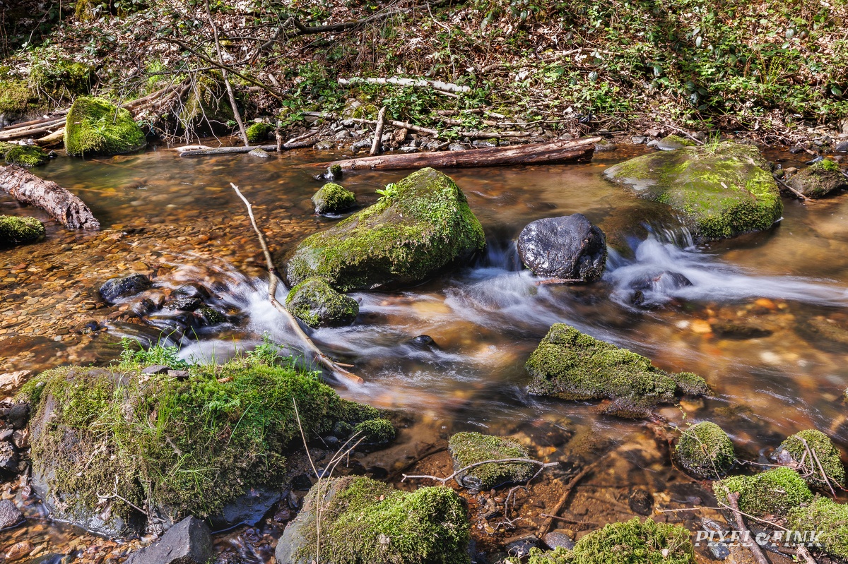 AS_20240412_MG_0635.jpg
