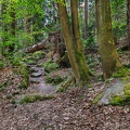 AS_20240412_MG_0674.jpg