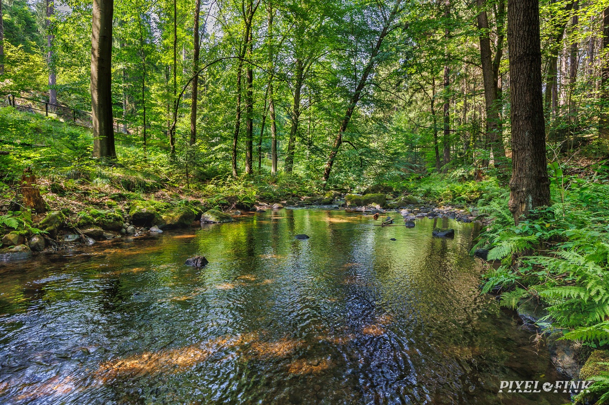 AS_20240629_MG_0716.jpg