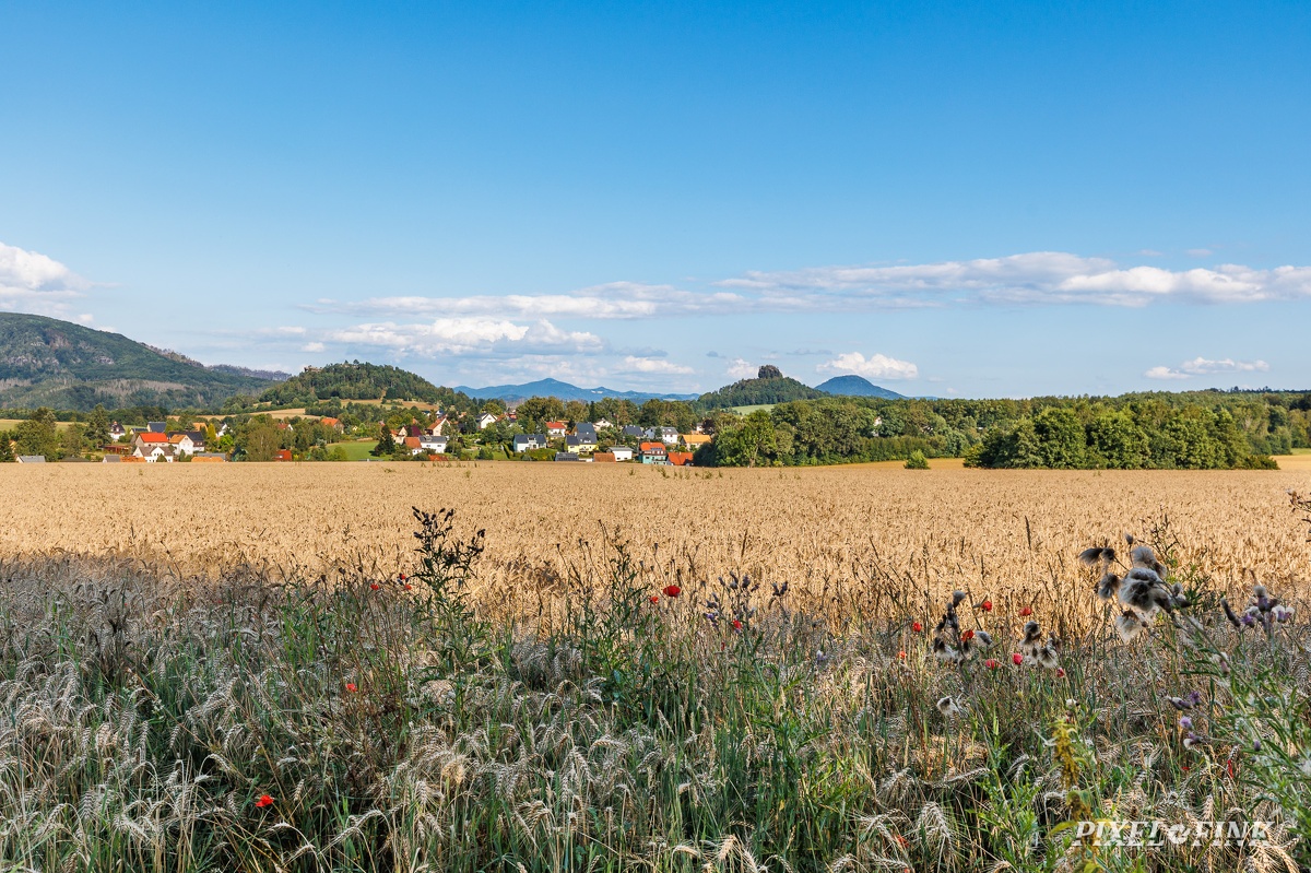 AS_20240728_MG_0858.jpg