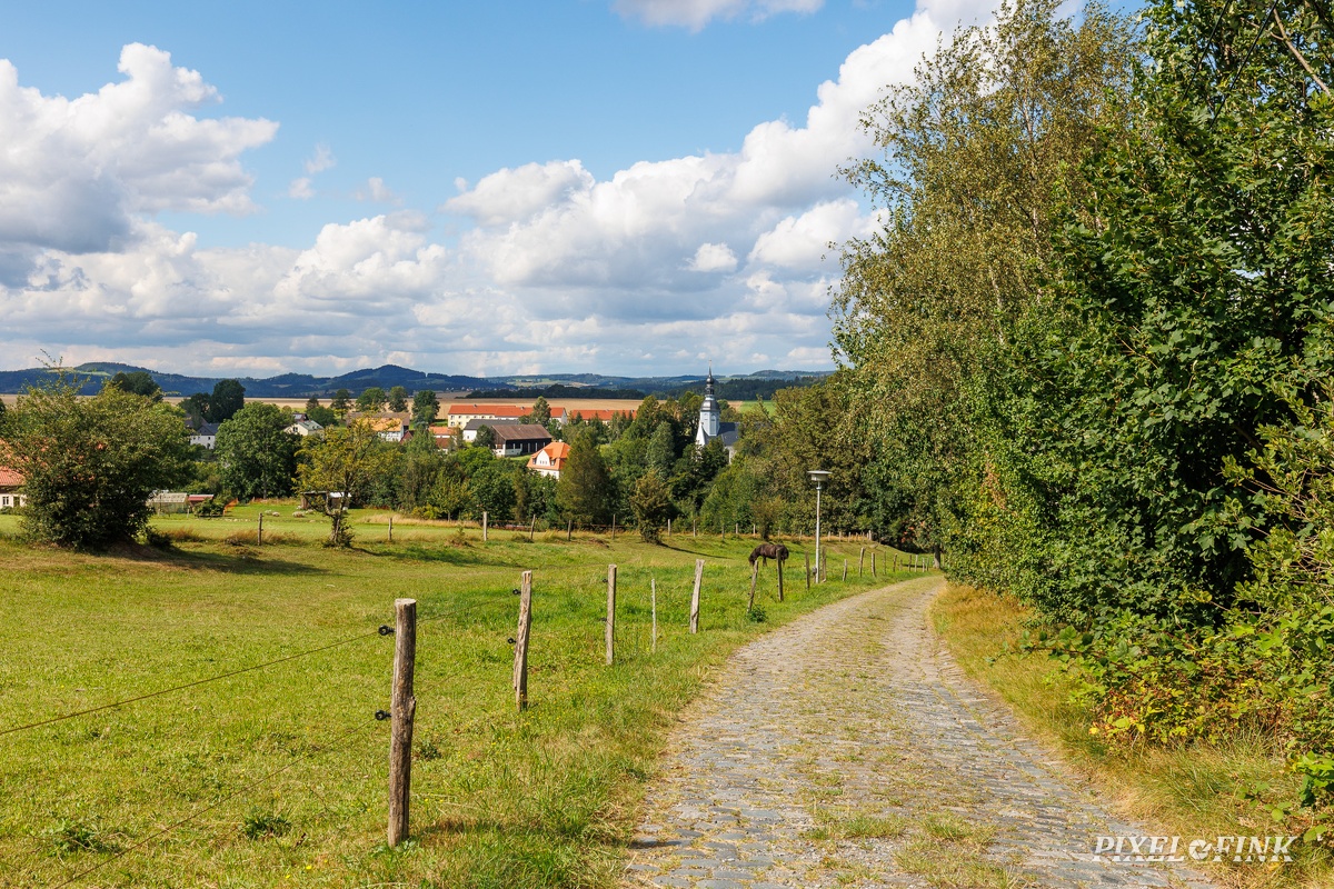 JUS_20240728_MG_2027.jpg