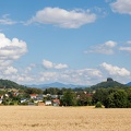 JUS_20240728_MG_2045.jpg