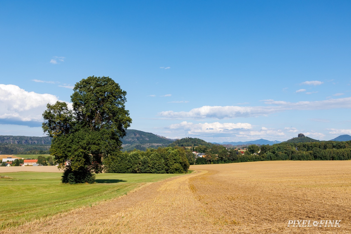 JUS_20240728_MG_2074.jpg