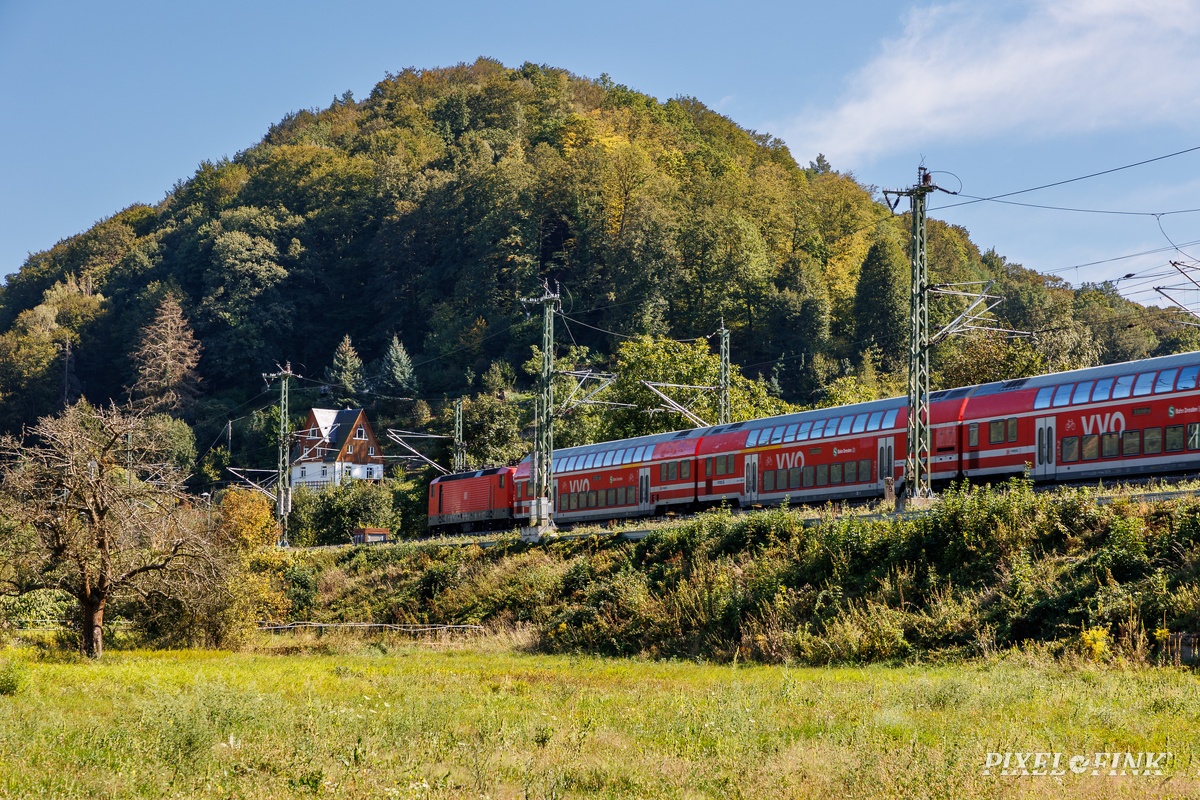 JUS_20240908_MG_2449.jpg
