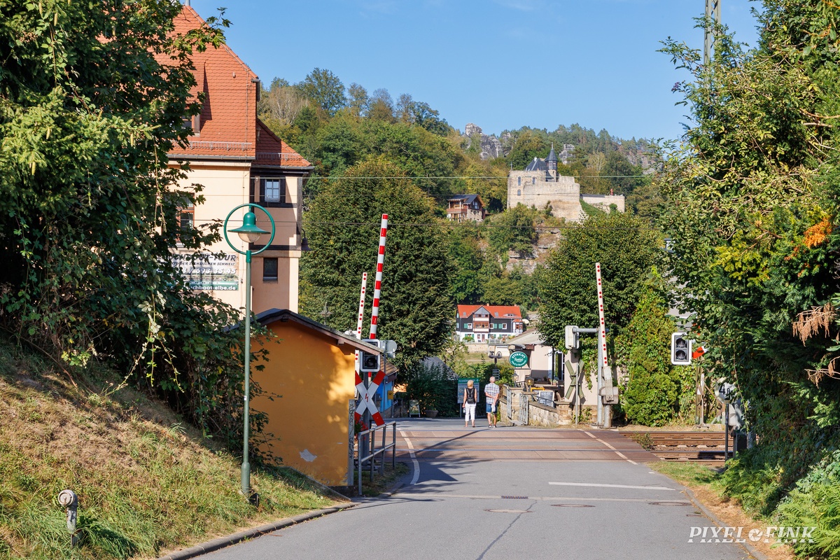 JUS_20240908_MG_2480.jpg
