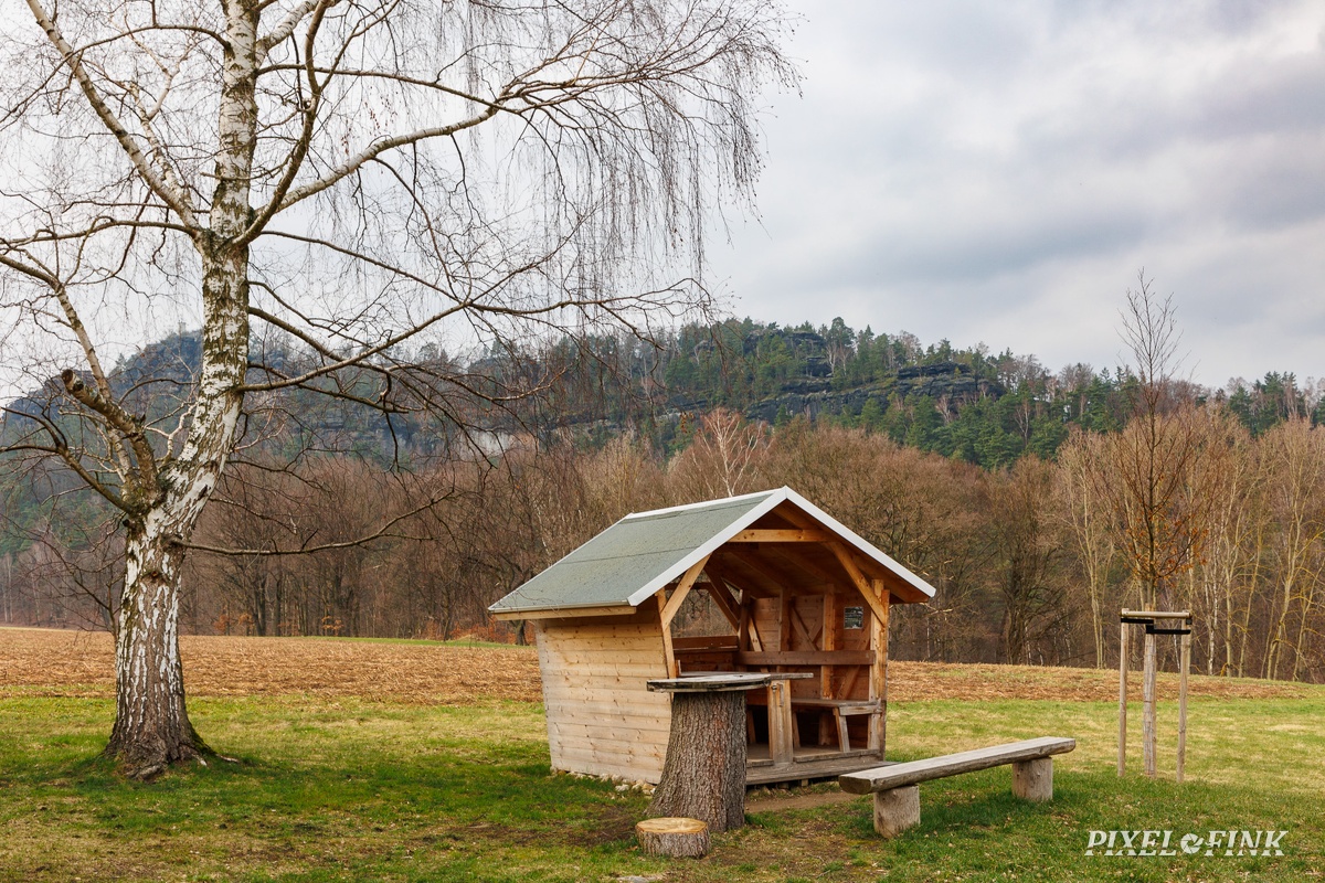 JUS_20240301_MG_1702.jpg