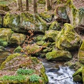 AS_20240327_MG_0574.jpg