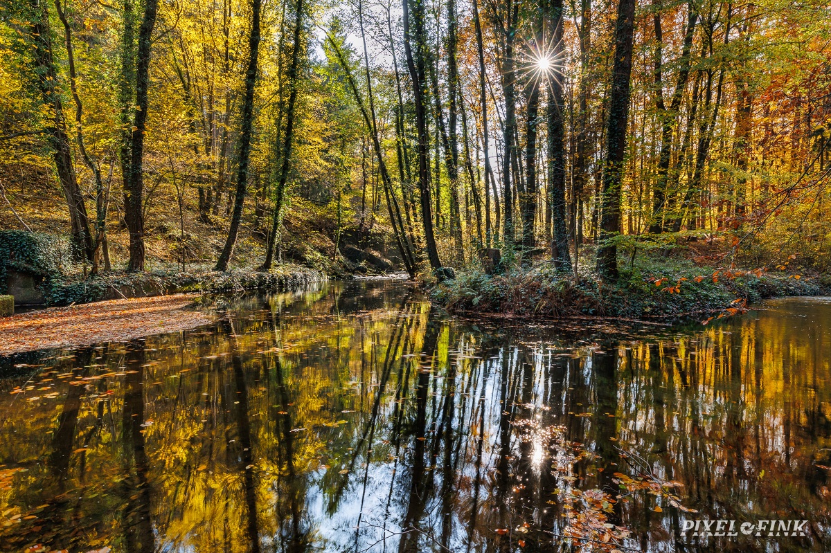 AS_20241027_MG_1148.jpg