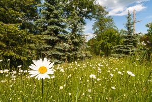 JUS 20090514 IMG 3035