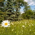 JUS_20090514_IMG_3035.jpg