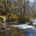 AS_20220423_MG_6719.jpg