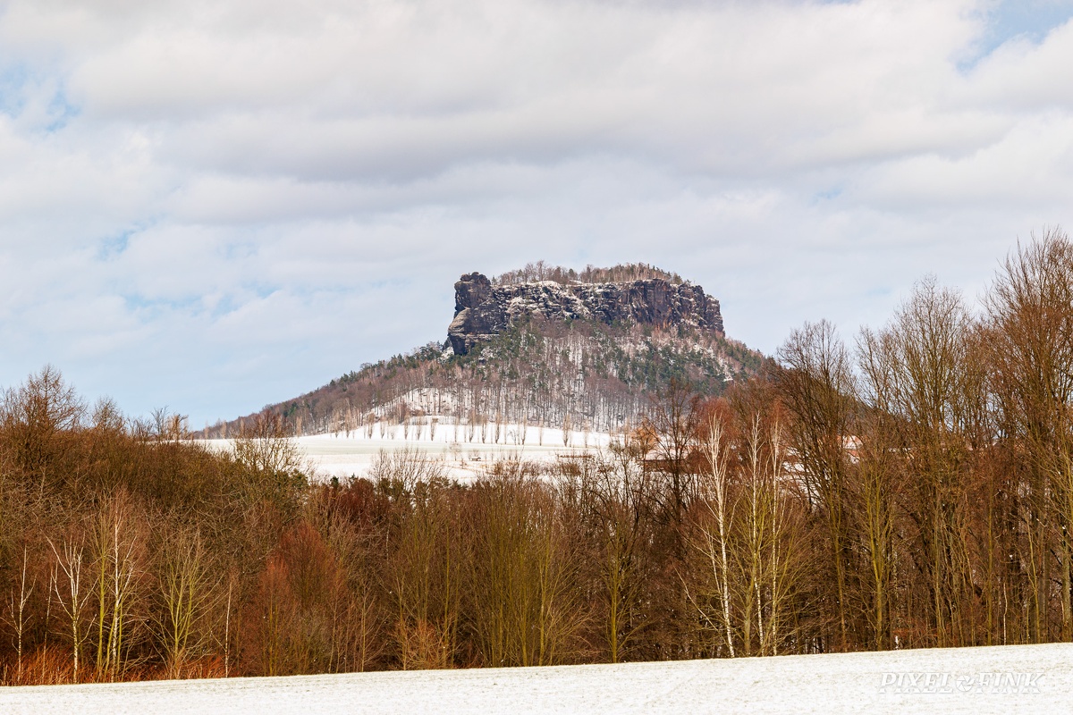 JUS_20250111_MG_2857_PQ.jpg