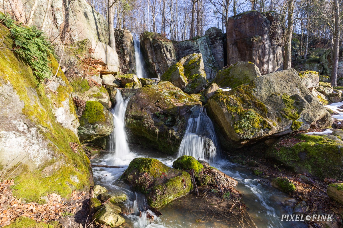 JUS_20210219_MG_6729.jpg