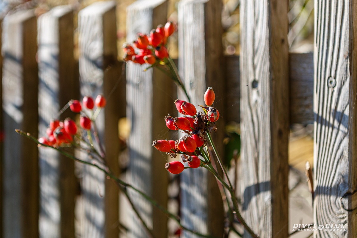 JUS_20211010_MG_7110.jpg