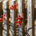 JUS_20211010_MG_7110.jpg