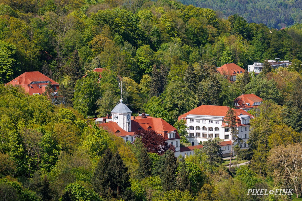 JUS_20250501_MG_3356.jpg