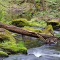 JUS_20250423_MG_3321.jpg