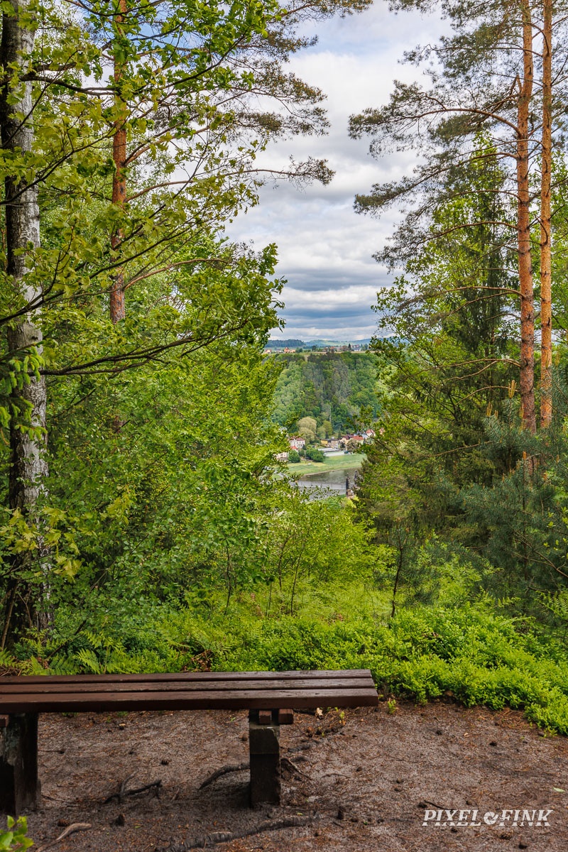 AS_20250505_MG_1781.jpg