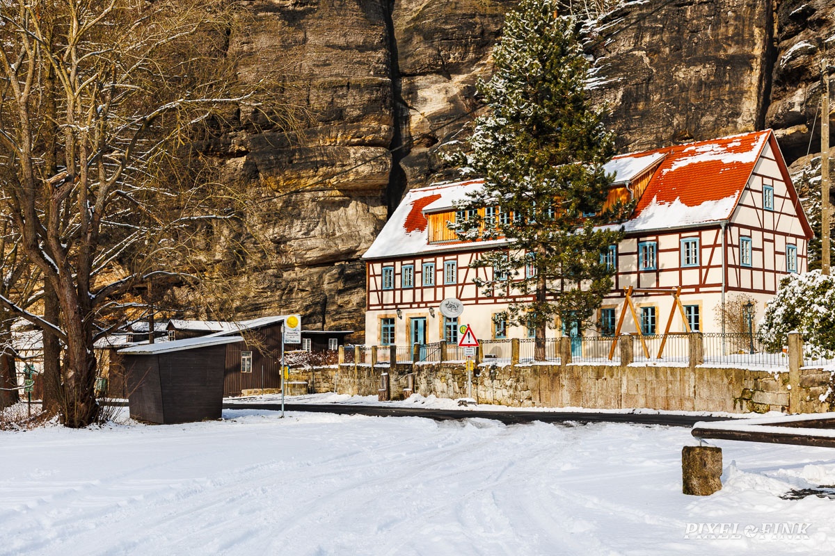 AS_20250215_MG_1313.jpg
